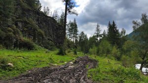 Вид с горы Ак-Оюк. Алтай, район г.Белуха.