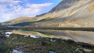 Вид с горы Ак-Оюк. Алтай, район г.Белуха.