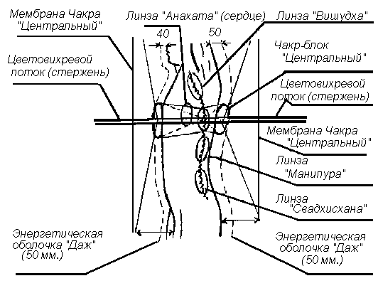 Внутренее строение эфирного организма человека